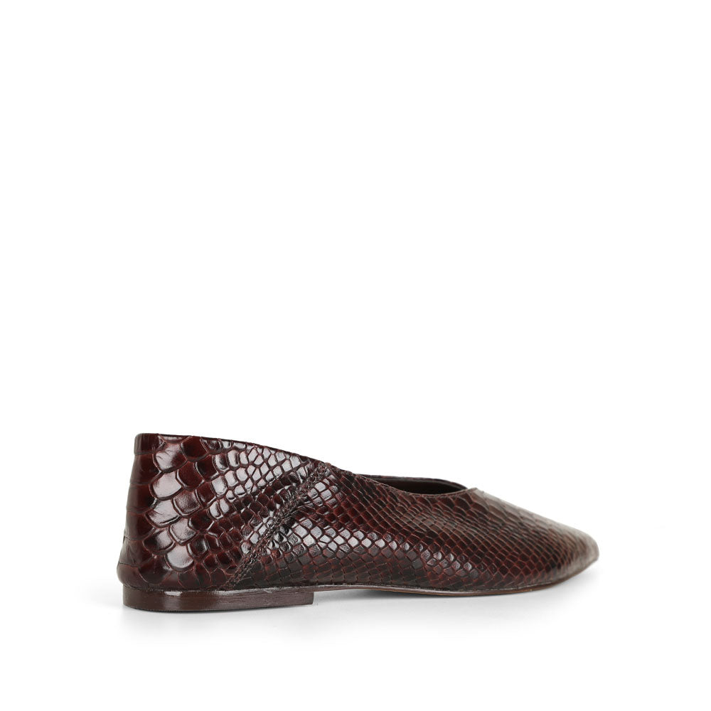 Manhattan Flat Brown Snake, view 4