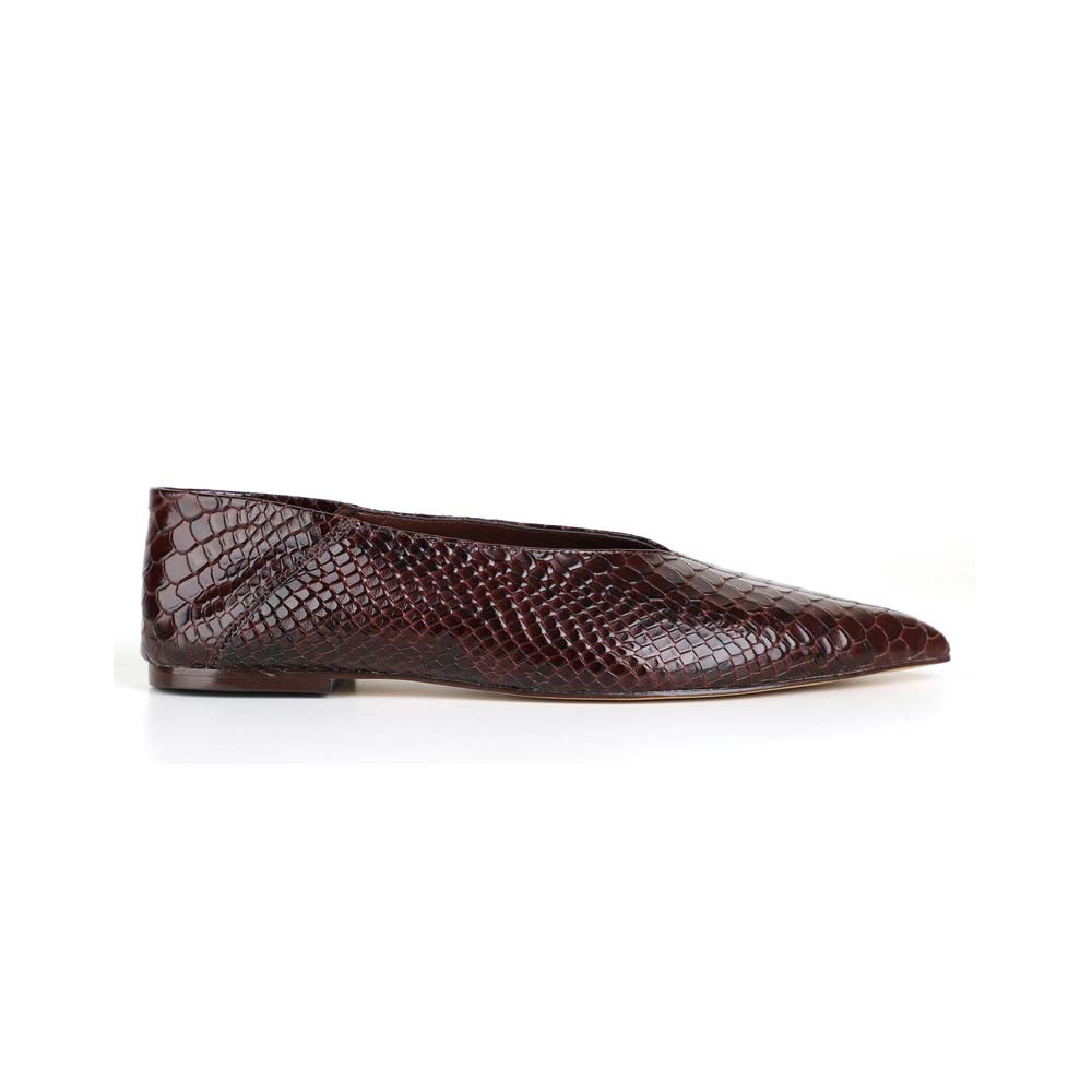 Manhattan Flat Brown Snake
