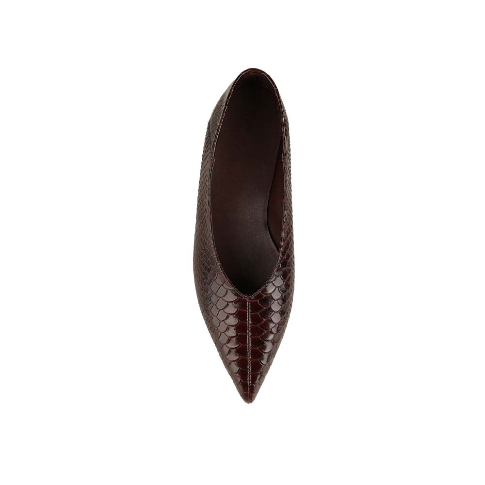 Manhattan Flat Brown Snake